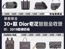 30+款 Dior Oblique经典老花包包大集合