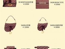5款Dior各大系列包包合集 | 按色系分