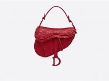 Dior迪奥 M0447IINF_M52R SADDLE櫻桃紅色流蘇編織頂級小羊皮迷你包款