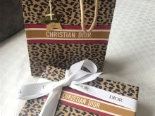 Dior caro belt bag 这一季的豹纹包装太野性了吧