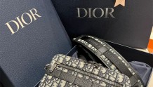  室友送我的30岁生日礼物Dior老花相机包🎁