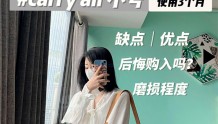 LV Carry all买了3个月，后悔吗？
