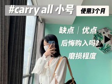 LV Carry all买了3个月，后悔吗？